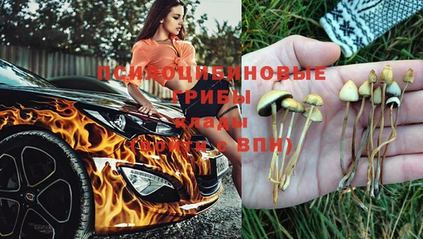 jwh Верхний Тагил