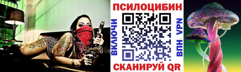 Галлюциногенные грибы Psilocybine cubensis  дарнет шоп  MEGA вход  Качканар 